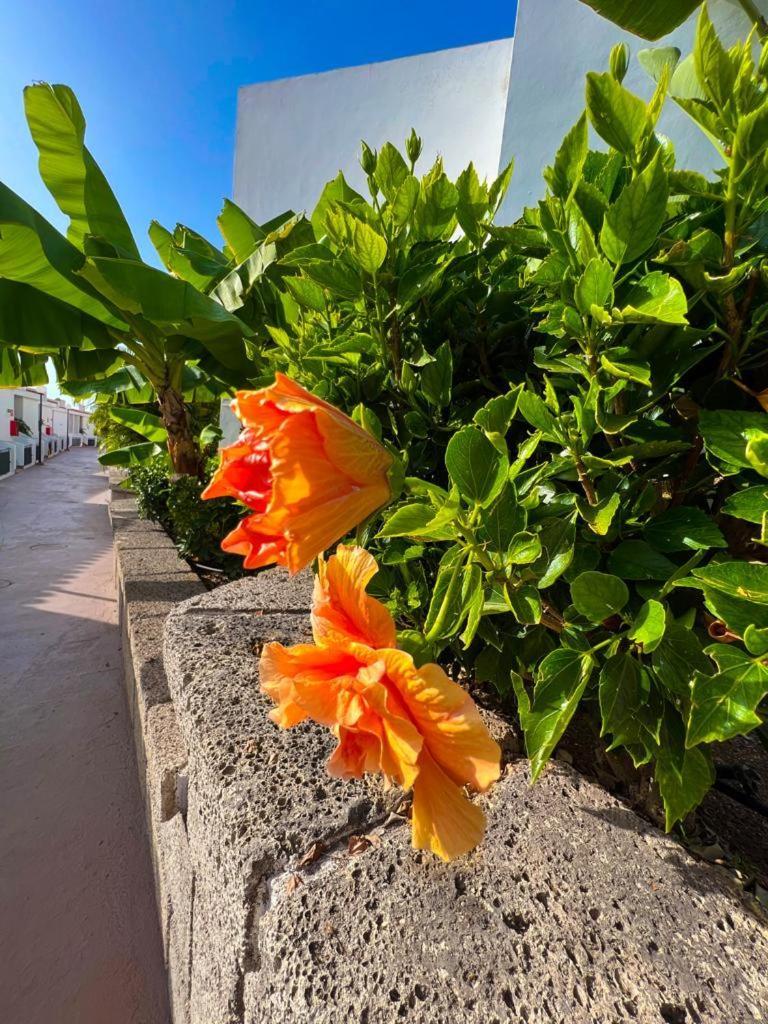 Apartament Malibu Blue Costa Adeje  Exterior photo