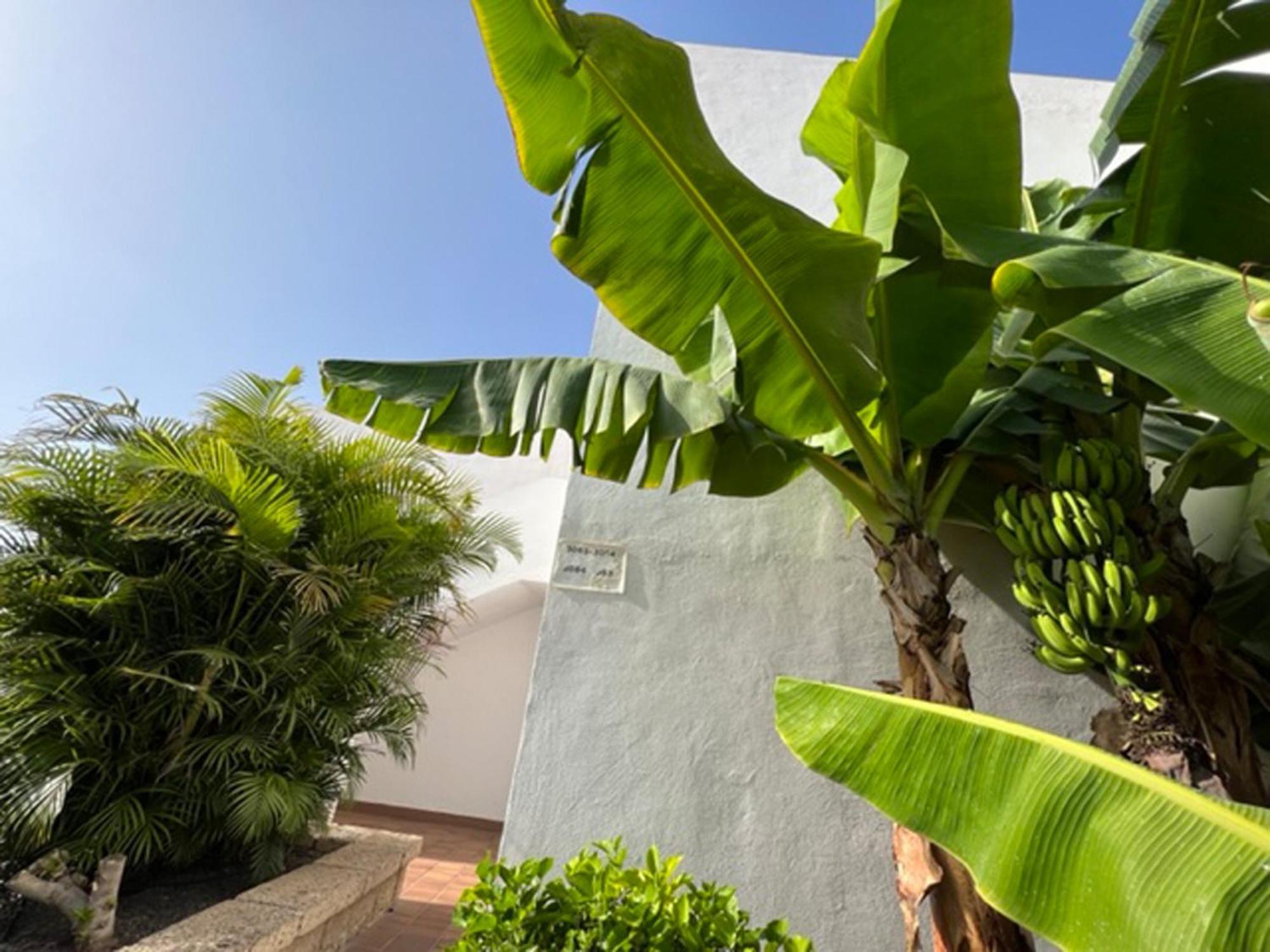 Apartament Malibu Blue Costa Adeje  Exterior photo